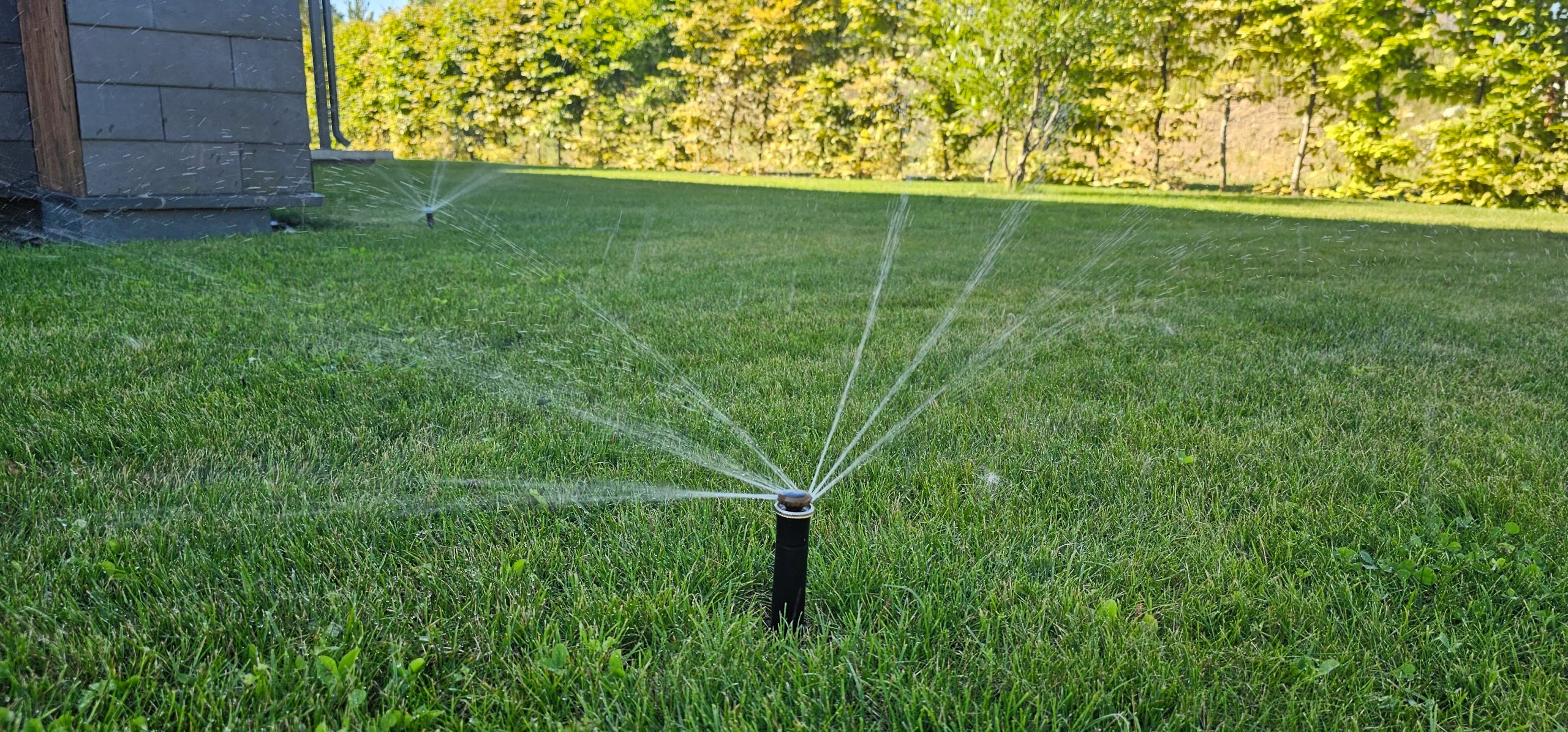 Iškilęs vejos purkštuvas purškia plonas vandens sroves ant žalios vejos