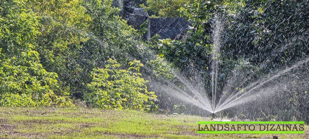 5 dažniausios automatinio laistymo klaidos, kurias matome Vilniaus soduose