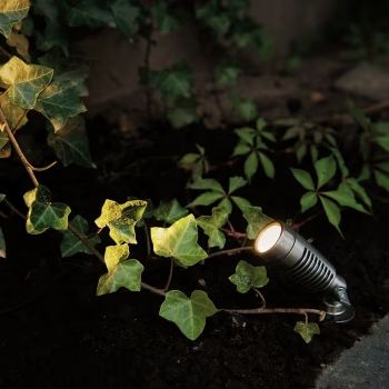 Lauko LED prožektorius ant žemės apšviečia gebenės lapus