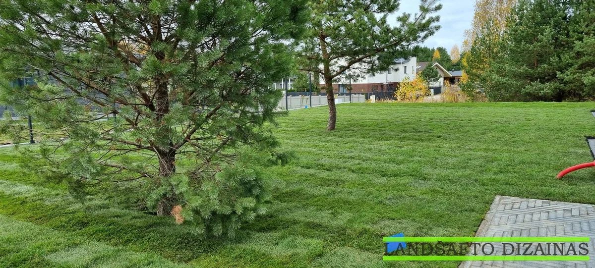 Apželdinimo darbai Galgiuose 8