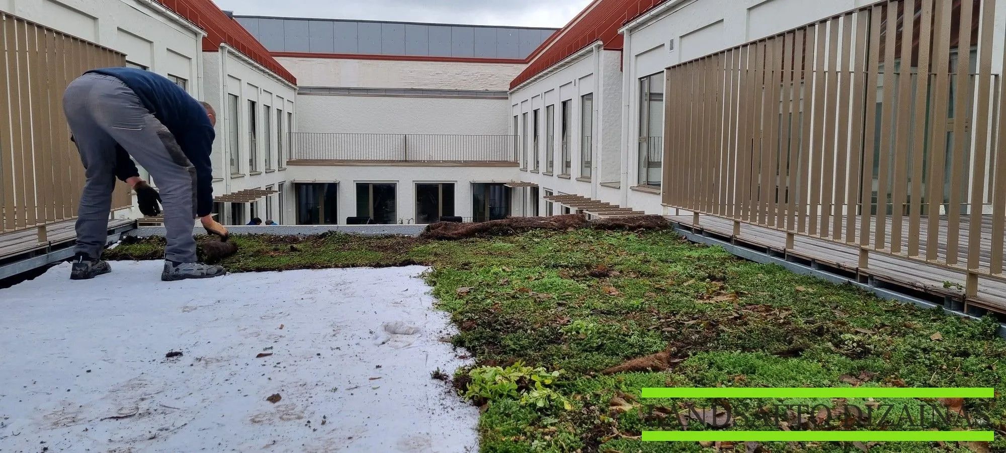 Gyvenamojo kvartalo Panerių g. 12 apželdinimas 13