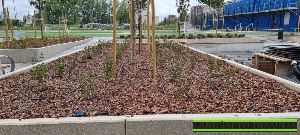 Inovatyvi laistymo sistema Vilniaus Tolminkiemio gimnazijoje: tvarumo pavyzdys 10