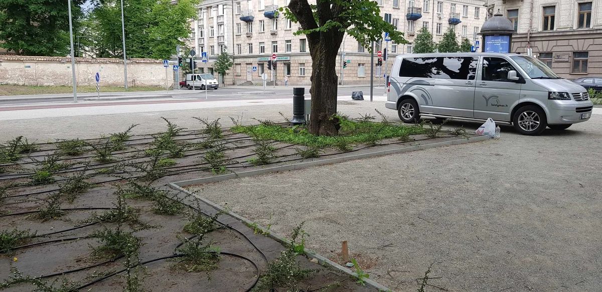 Automatine_laistymo_sistema_Lukiskiu_aikste_Vilnius (26) Automatine laistymo sistema Lukiskiu aikste Vilnius 26 scaled Automatinės laistymo sistemos įrengimas