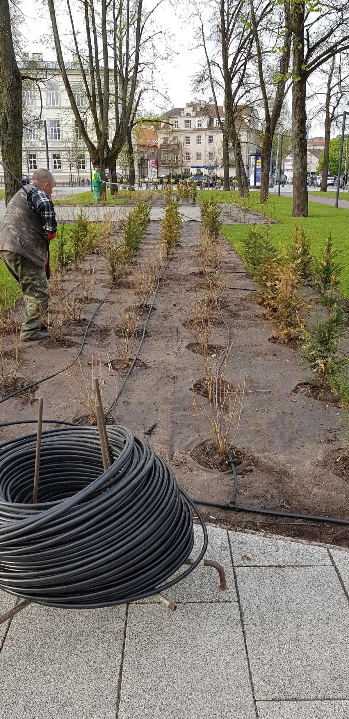 Laistymo sistema Lukiškių aikštėje 20