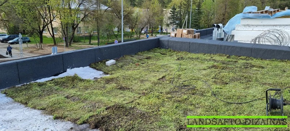 Šilokų kilimo klojimas ant plokščio stogo 10