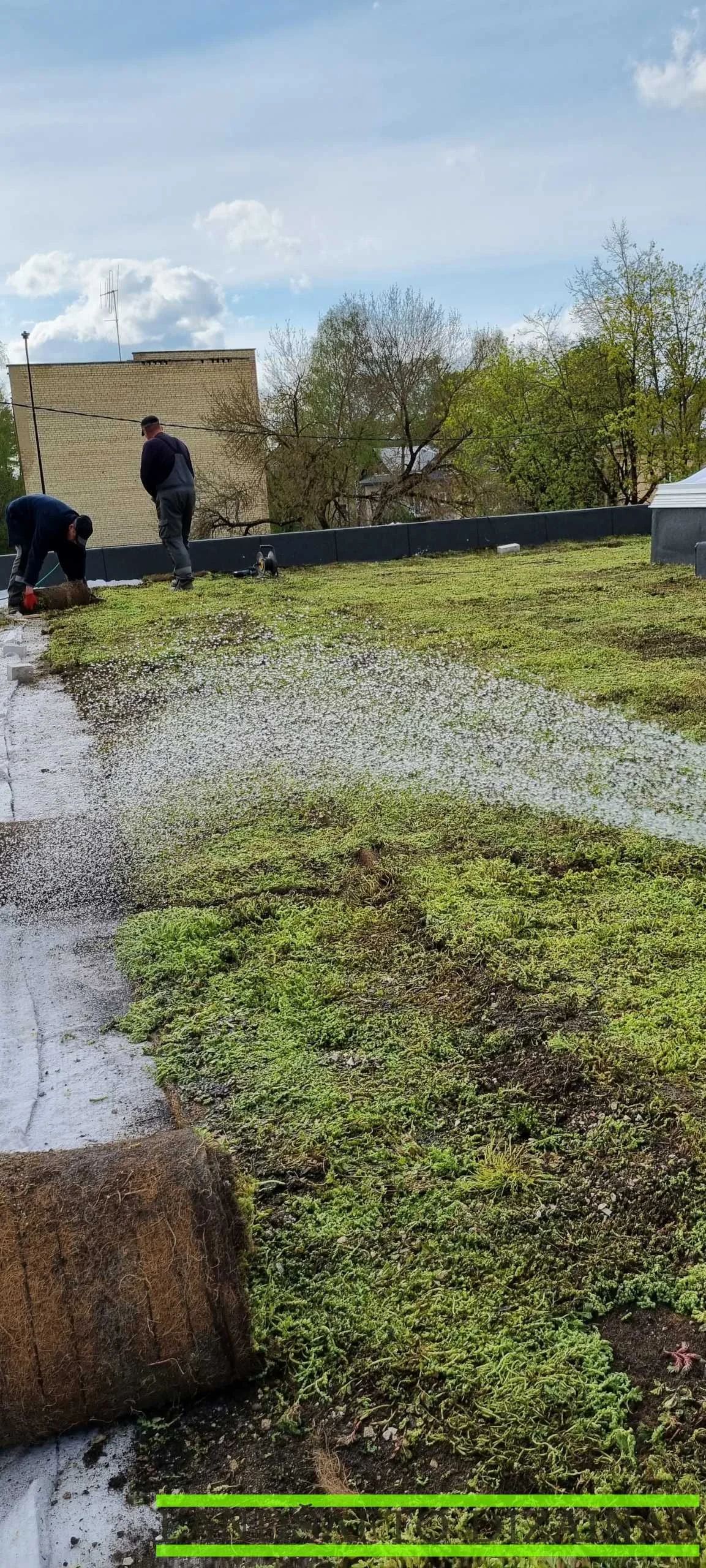 Šilokų kilimo klojimas ant plokščio stogo 11