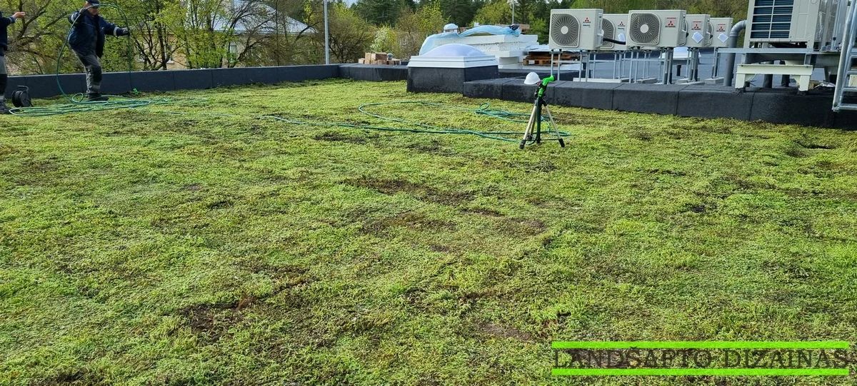 Šilokų kilimo klojimas ant plokščio stogo 12