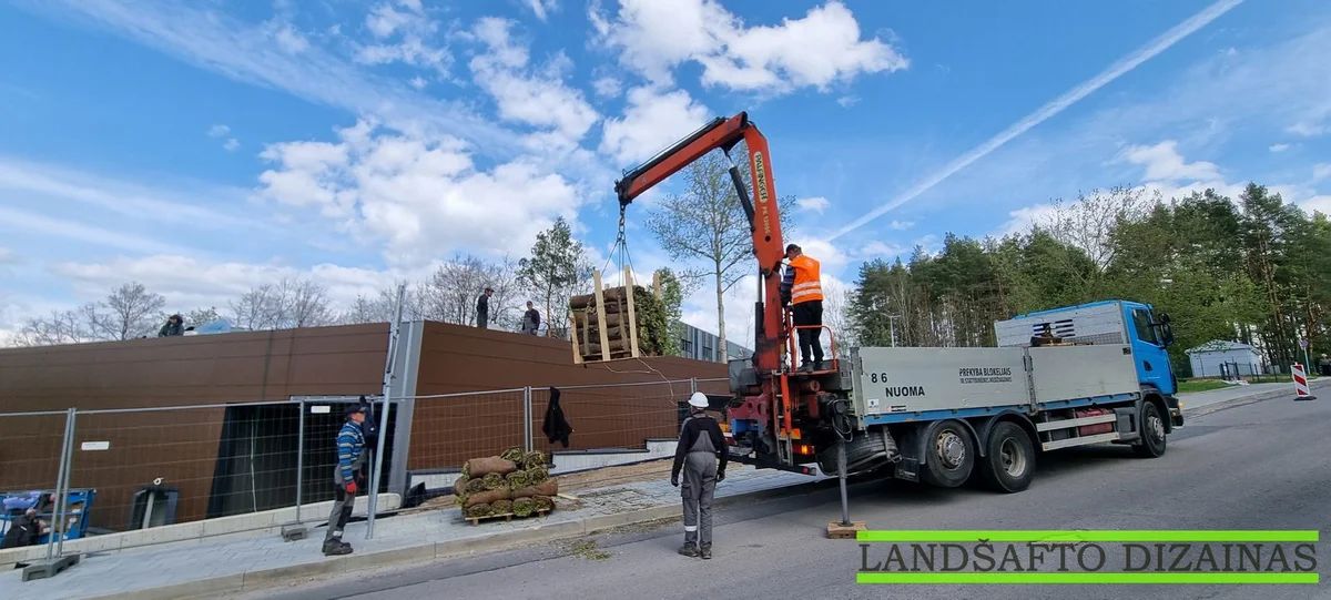 Šilokų kilimo klojimas ant plokščio stogo 13