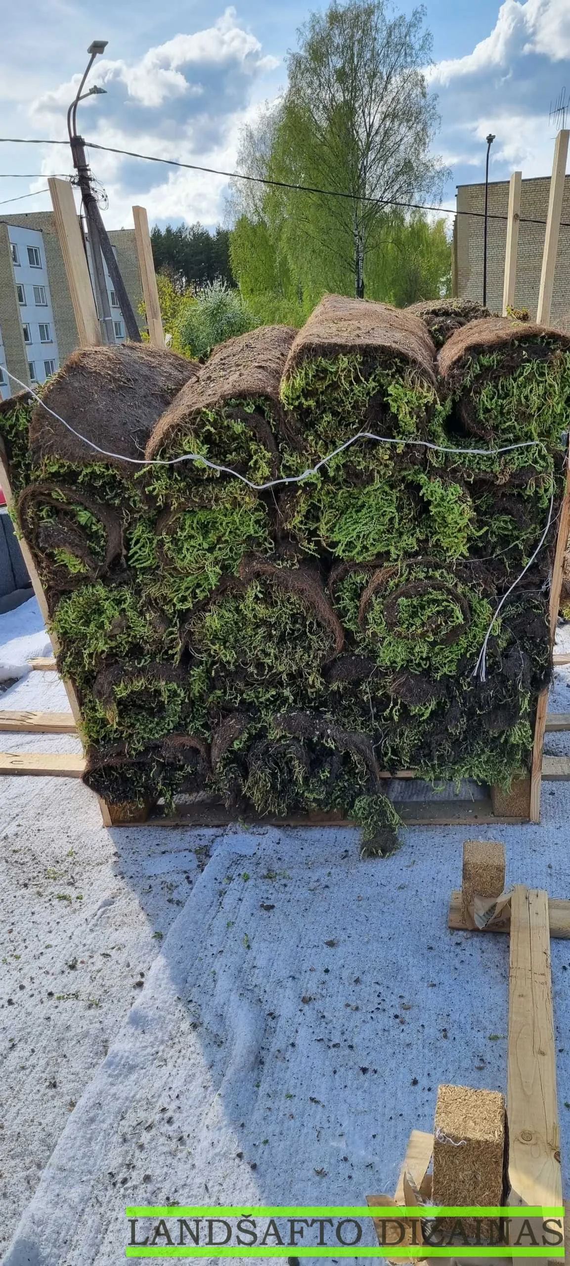 Šilokų kilimo klojimas ant plokščio stogo 2