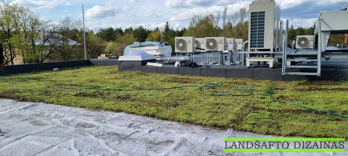 Šilokų kilimo klojimas ant plokščio stogo 3