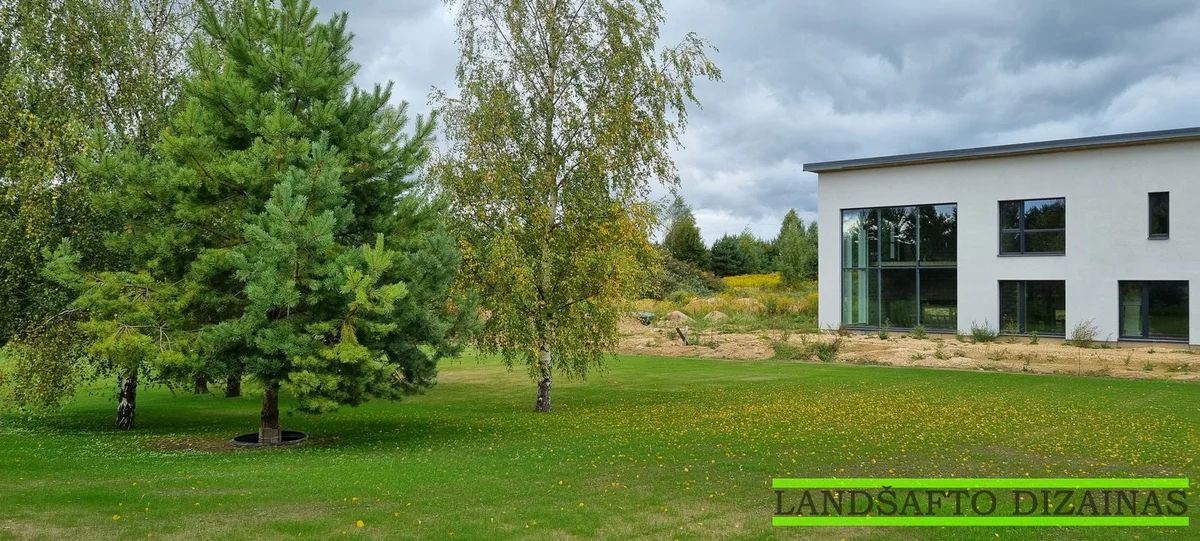 Apzeldinimo-darbai-Bajorai-Vilnius (22) Naujai pasėta veja iki pirmo pjovimo